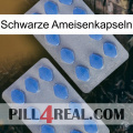 Black Ant Capsules 20